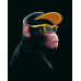 Картина по номерам Riviera Blanca Gangster Monkey №2 40x50 см (RB-0961)