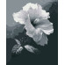 Картина по номерам Riviera Blanca Серебряная 40x50 см (RB-1084)