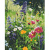 Картина по номерам Riviera Blanca Солнечное поле 40x50 см (RB-0936)