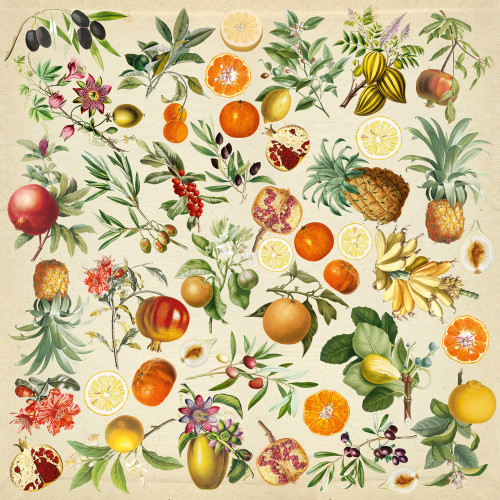 Лист двостороннього паперу для скрапбукінгу Summer botanical diary №64-02 30,5х30,5 см