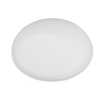 Фарба для аерографії Непрозорий білий матовий Wicked Detail W032 Opaque Flat White, 10 мл (R)