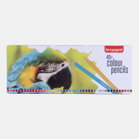 Набор цветных карандашей PARROT, 45шт., мет.коробка, Bruynzeel