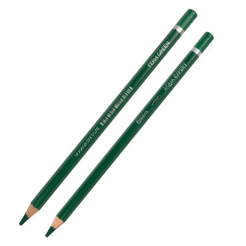 Акварельний олівець Зелена папороть (Fern Green) Aqua Expert 99IDEAS, 99AE-FERN