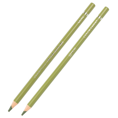 Цветной карандаш Оливковый (Olive) Color Expert 99IDEAS, 99CE-OLIV