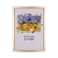 Фоторамка серебряная 21х30, А4 для фото, дипломов, сертефикатов, документов со стеклом (пластиковый багет) 1511-258