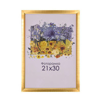 Фоторамка золотая 21х30, А4 для фото, дипломов, сертефикатов, документов со стеклом (пластиковый багет) 1511-47