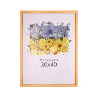 Фоторамка дерево 30х40 А3 зі склом (пластиковий багет) 1511-99