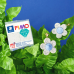 Пластика Effect Ботаника сухоцвет водорослей 57г Fimo