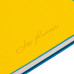 Еженедельник 10х15 см Leo Planner датированный 2024 Tiffany желто-голубой