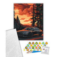 Картина за номерами Комфортна поїздка 40х50 см, 12513-AC