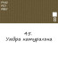 Масляная краска 45 Умбра натуральная, Renesans For Art 140 мл