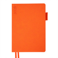 Деловой ежедневник датированный 2026 Leo Planner Binario А5 368 стр. оранжевый