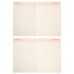Діловий щоденник датований 2026 Leo Planner Bloom А5 368 стор. твердий