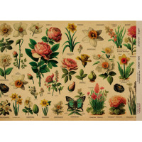 Декупажная карта на крафт бумаге 21x29,7см, Ботаника Крафт, №0040