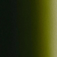 Краска для аэрографии Токсичный зелёный 5049, Illustration Bloodline Vile Green, 10 мл