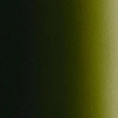 Краска для аэрографии Токсичный зелёный 5049, Illustration Bloodline Vile Green, 10 мл