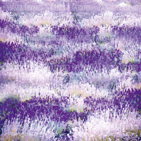 Лист двостороннього паперу для скрапбукінгу Journey to Provence №46-03 30,5х30,5 см