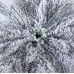 Елка искуственная Yes! Fun h-2,10 м литая Кипарис заснеженная