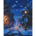 Картина за номерами Зимова ніч 11051-AC 40х50 см