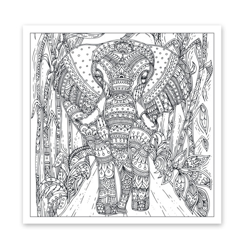 Розмальовка-антистрес У світі тварин Розмальовка-антистрес У світі тварин