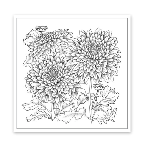 Розмальовка-антистрес Кольоротерапія, 20 стор. Розмальовка-антистрес Кольоротерапія, 20 стор.