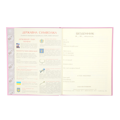 Шкільний щоденник YES Твердий Minecraft Spring Шкільний щоденник YES Твердий Minecraft Spring