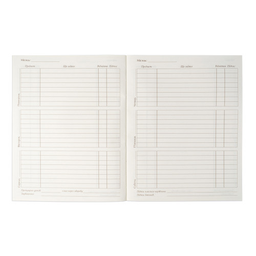 Шкільний щоденник 1В Твердий Street Race Шкільний щоденник 1В Твердий Street Race