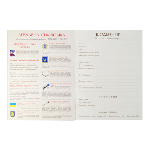 Шкільний щоденник 1В Твердий Street Race Шкільний щоденник 1В Твердий Street Race