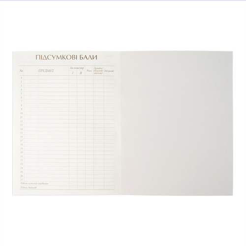 Шкільний щоденник 1В Твердий Street Race Шкільний щоденник 1В Твердий Street Race