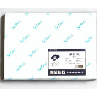 Набір акварельного паперу 19,5х27,5см 300г 20арк 50% бавовни CP, Paul Rubens