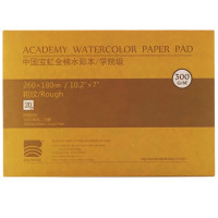Блок акварельний Academy 100% бавовна 300г 260х180мм 20арк Rough Baohong
