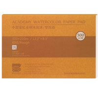Блок акварельний Academy 100% бавовна 300г 310х210мм 20арк Rough Baohong
