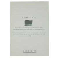 Альбом-склейка мультитехника Sennelier Carte d'art, 15 листов, 340 г/м, 29,7x42 см Альбом-склейка мультитехника Sennelier Carte d'art, 15 листов, 340 г/м, 29,7x42 см