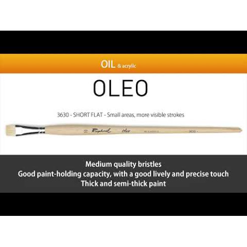 Кисть щетина плоская Raphael Oleo, №10, короткая ручка Кисть щетина плоская Raphael Oleo, №10, короткая ручка