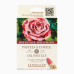 Набор масляной пастели Sennelier Rose in bloom, 6 цветов, картон