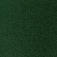 Папір для пастелі Sennelier, 360 г/м², 65×50 см, Темно-зелений  