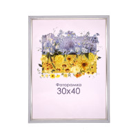 Фоторамка А3 30х40 см срібна з смужкою 1515 3310  