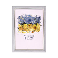 Фоторамка А5 15х21 см срібна з смужкою 1515 3310 з ніжкою  