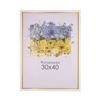 Фоторамка А3 30х40 см белая с золотой полоской DM 1511 64