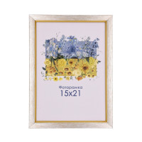 Фоторамка А5 15х21 см срібна з золотою смужкою DM 1511 258 з ніжкою  