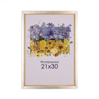 Фоторамка А4 21х30 см серебряная с золотой полоской DM 1511 258 с ножкой