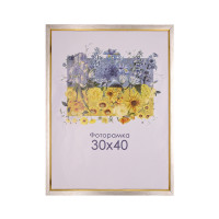 Фоторамка А3 30х40 см срібна з золотою смужкою DM 1511 258  