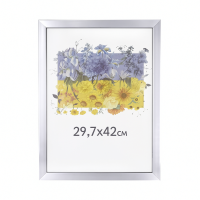 Фоторамка А3 29,7x42 см серебряная 1611 1730