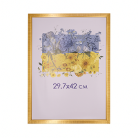 Фоторамка А3 29,7х42 см золота DM 1511 47  