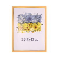 Фоторамка А3 29,7х42 см колір дерево DM 1511 99  