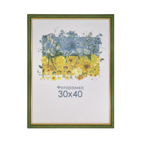 Фоторамка А3 30х40 см зеленая с золотой полоской 1716 2768