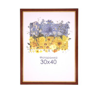 Фоторамка А3 30х40 см красная с золотой полоской 1716 2789