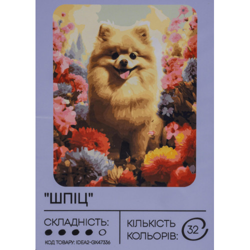 Картина по номерам с красками 40х50 см Шпиц GX47336, 99IDEAS