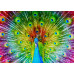 Пазл Красочний павич Colorful Peacock, ENJOY Puzzle  