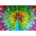 Пазл Красочний павич Colorful Peacock, ENJOY Puzzle  